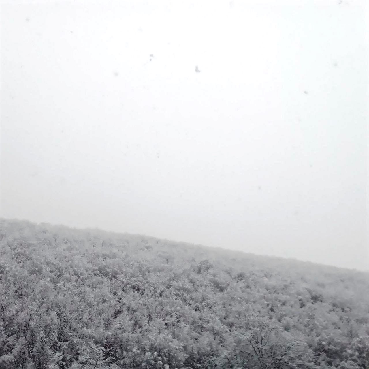 بارش برف بهاری در بخش کجور مازندران