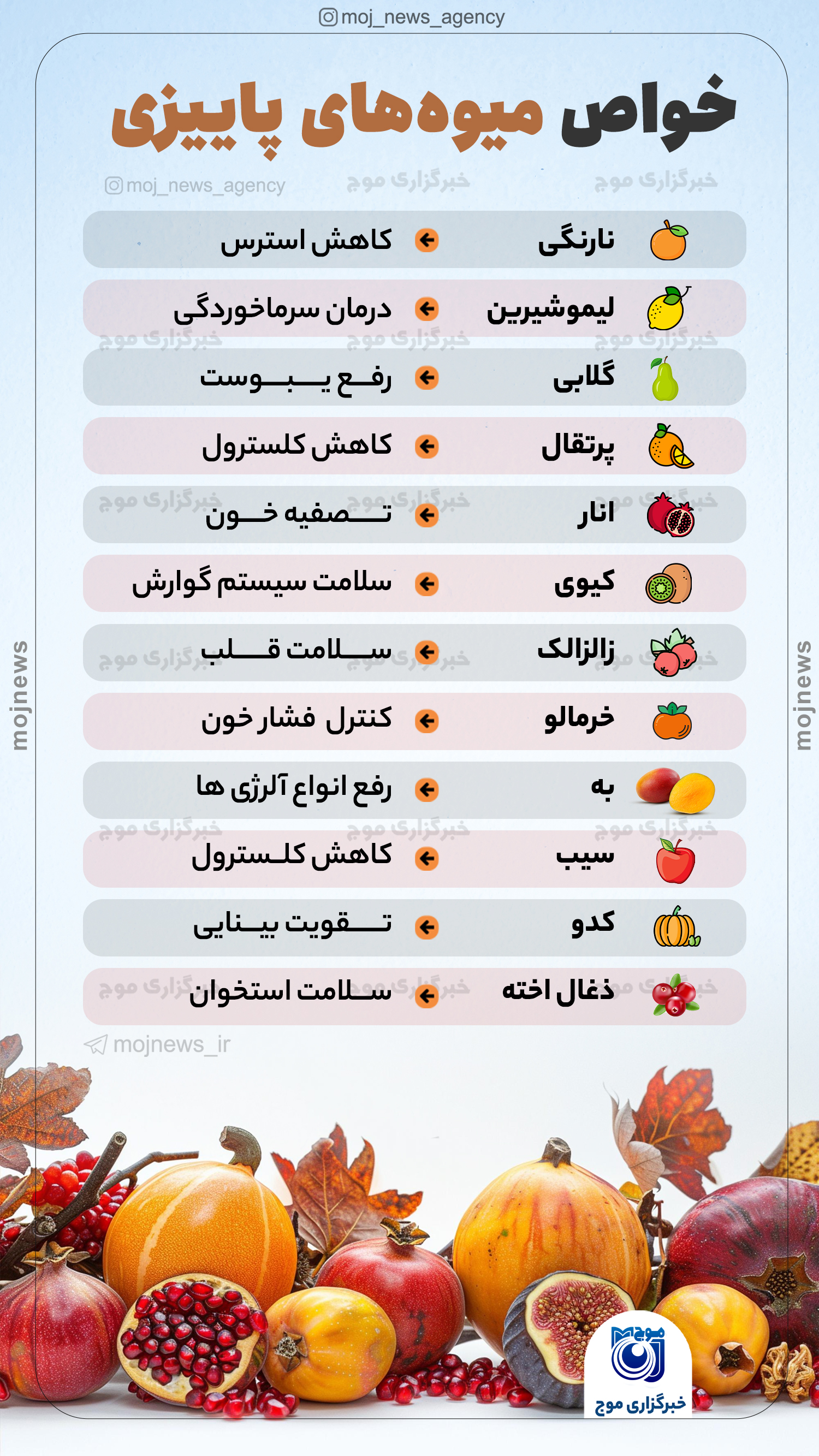 خواص میوه‌های پاییزی موج