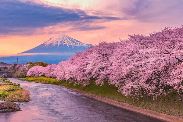 آب و هوای ژاپن