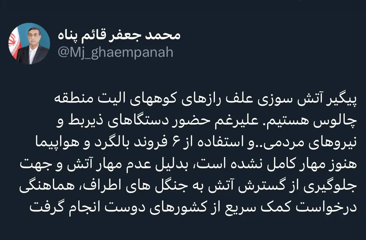 معاون اجرایی رئیس جمهور