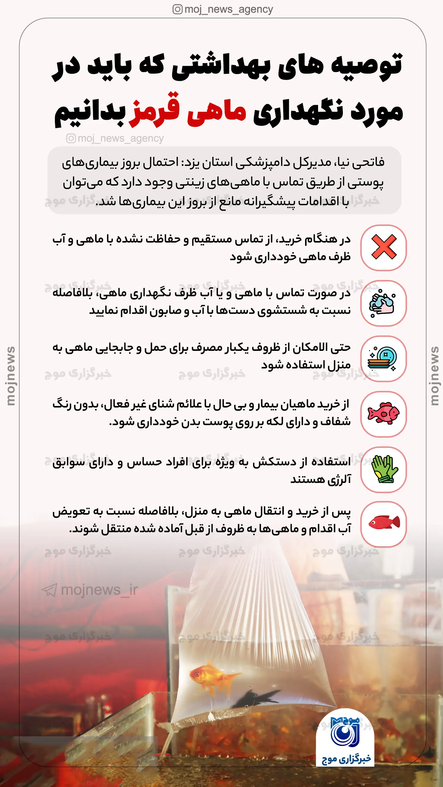 توصیه های بهداشتی که باید در مورد نگهداری ماهی قرمز بدانیم موج