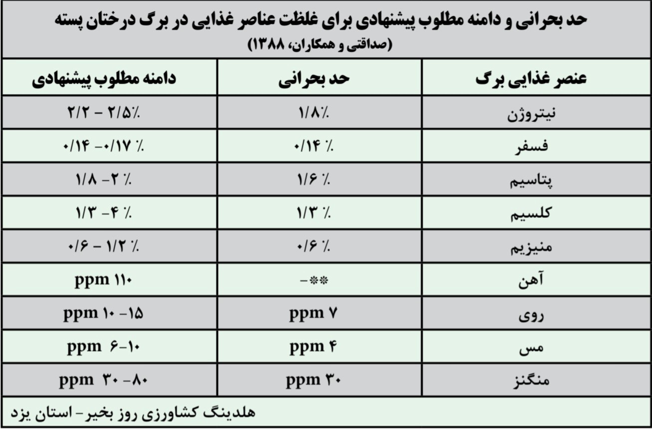 پسته