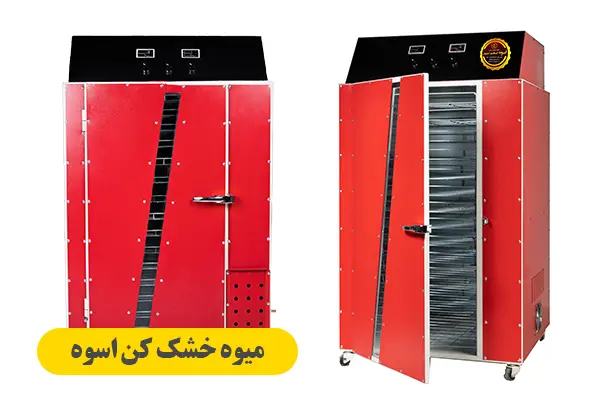میوه خشک