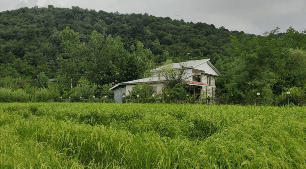 ویلای جنگلی