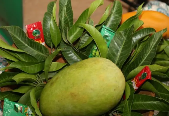 جشمواره انبه