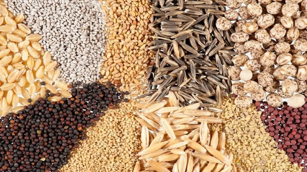 جهاد کشاورزی فارس 