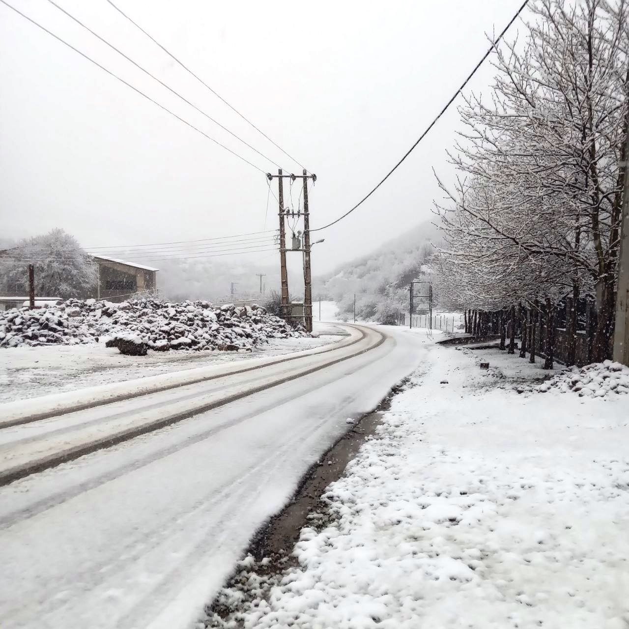 بارش برف بهاری در بخش کجور مازندران