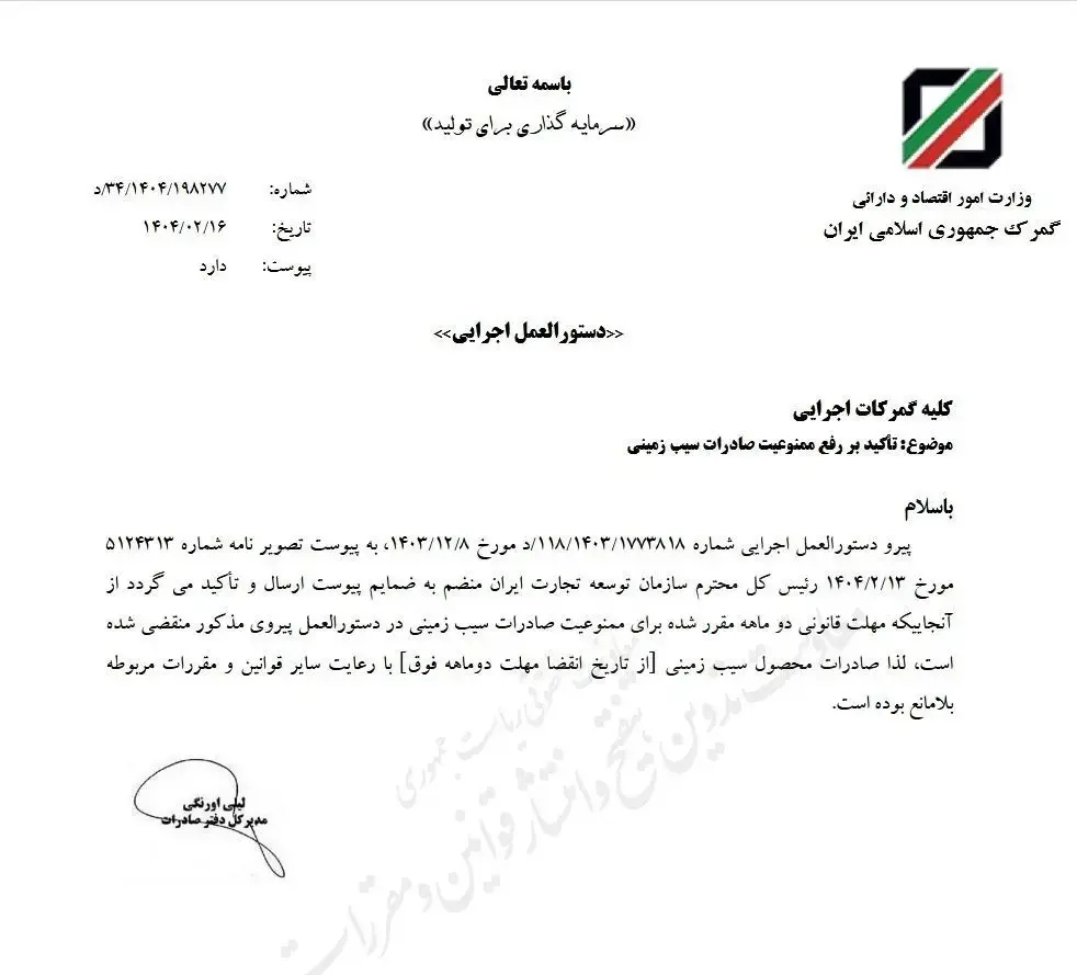 صادرات سیب زمینی