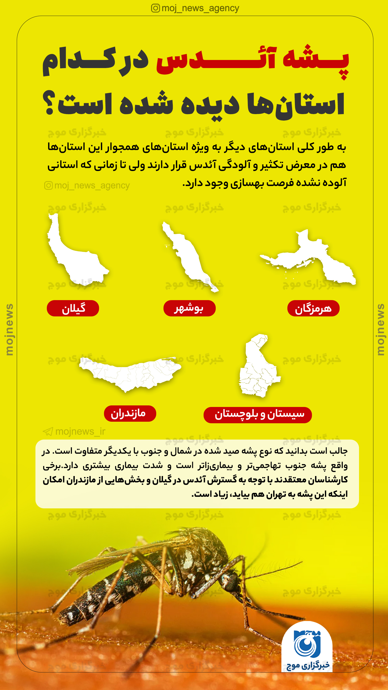 پشه آئدس در کدام استان‌ها دیده شده است؟ موج