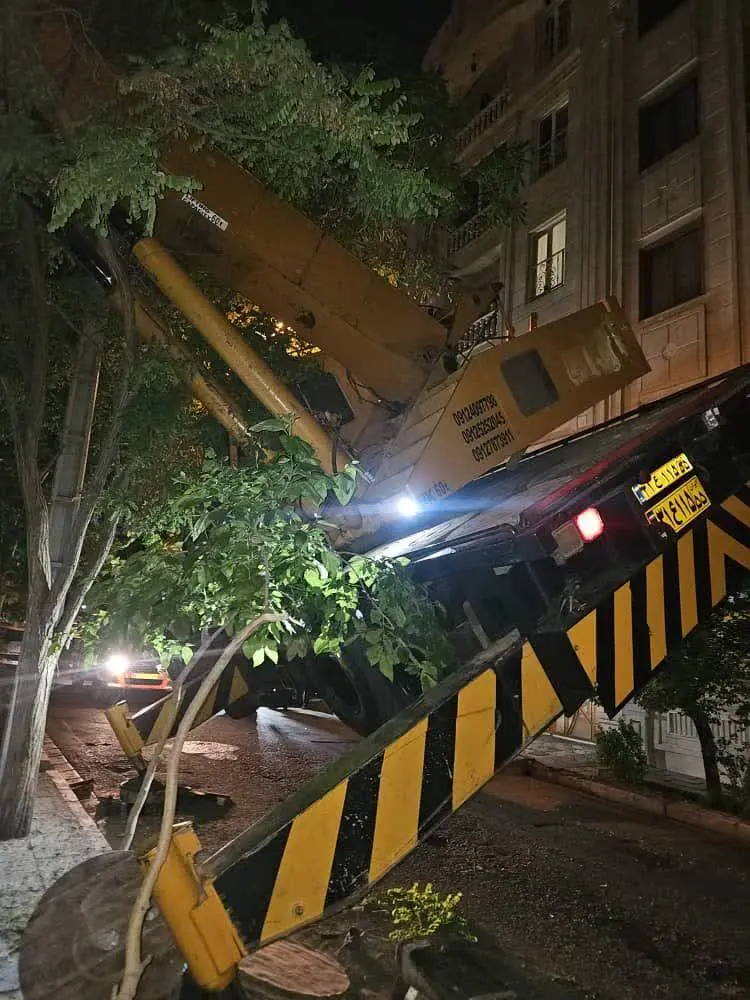واژگونی جرثقیل