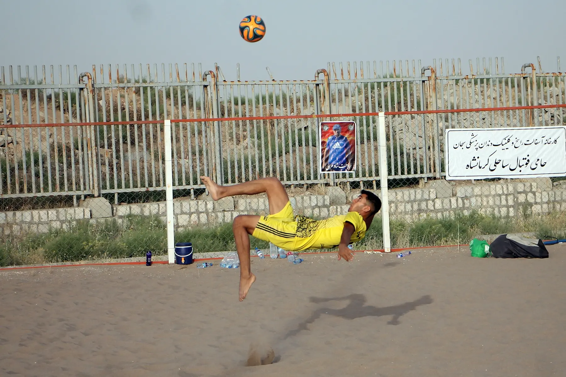هادی فرهمند