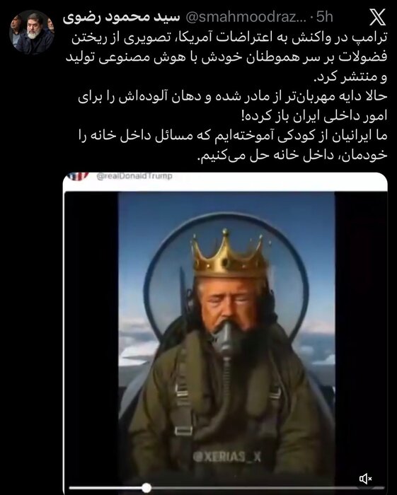 سیدمحمود رضوی