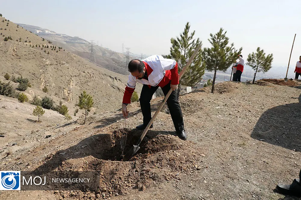 روز درختکاری با حضور جمعی از نمایندگان مجلس 