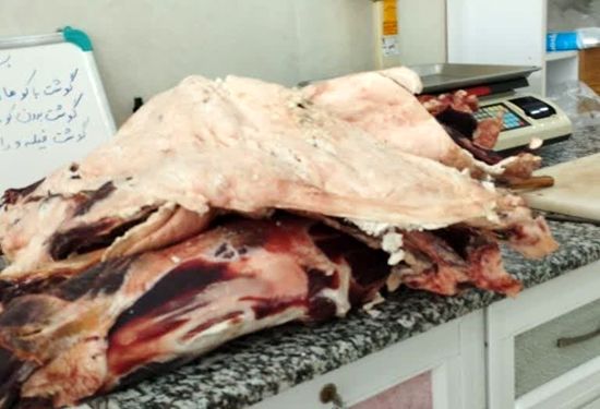 کشف و امحای 100 کیلو گوشت شتر غیر قابل مصرف در شهرستان خمینی شهر
