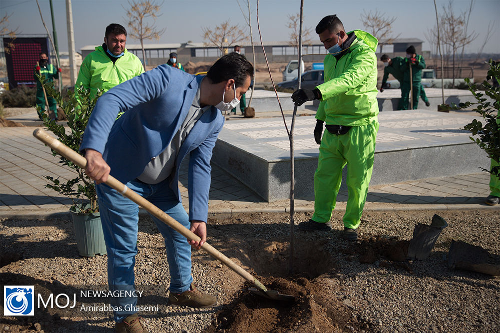 ۱۱۰ نهال به یاد اهداگران عضو استان با حمایت شهرداری قم غرس شدند