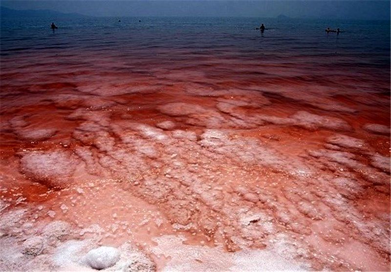 آیا رنگ قرمز دریاچه ارومیه نگران کننده است