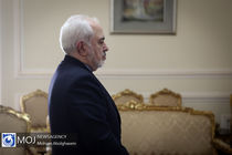 وزیر امور خارجه ایران وارد تهران شد