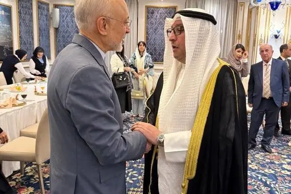 دیدار رئیس بنیاد ایران‌شناسی با سفرای کشورهای حوزه خلیج فارس