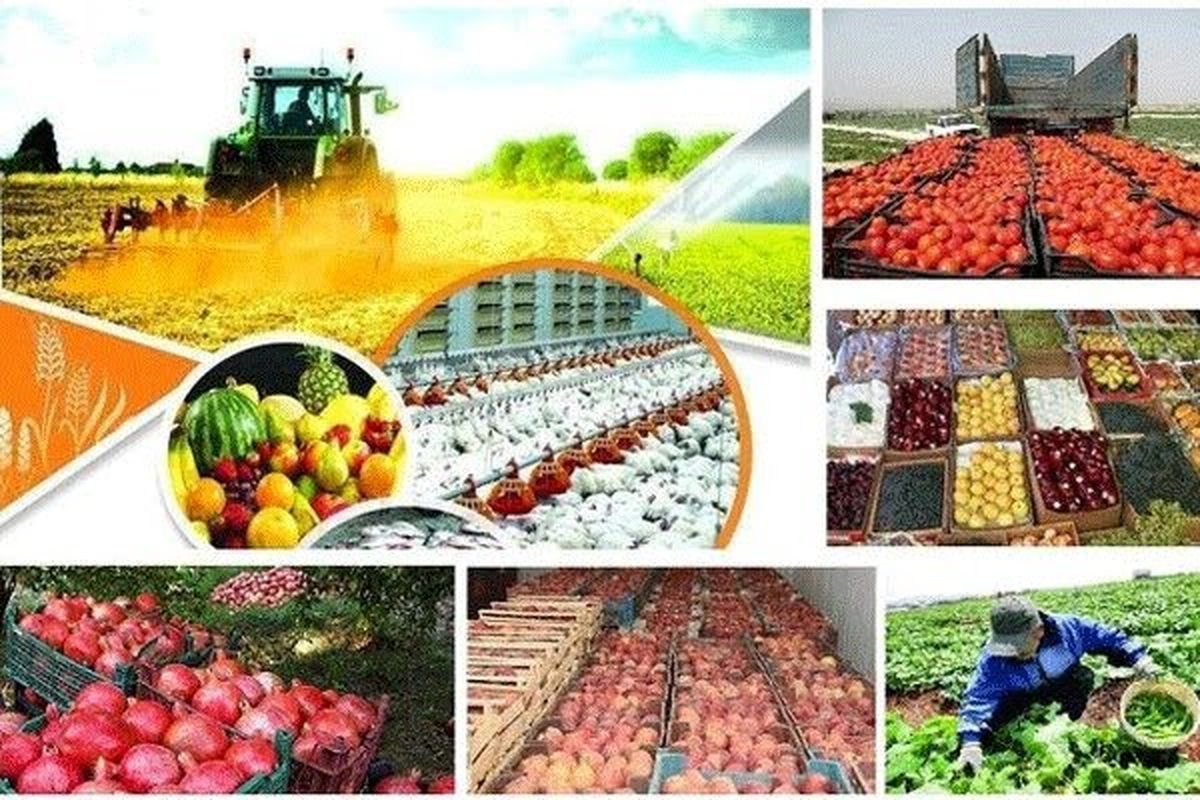 استان فارس، پایلوت صادرات محصولات کشاورزی
