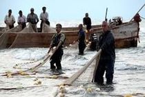 603 تن انواع ماهیان استخوانی از دریای مازندران صید و روانه بازار شد