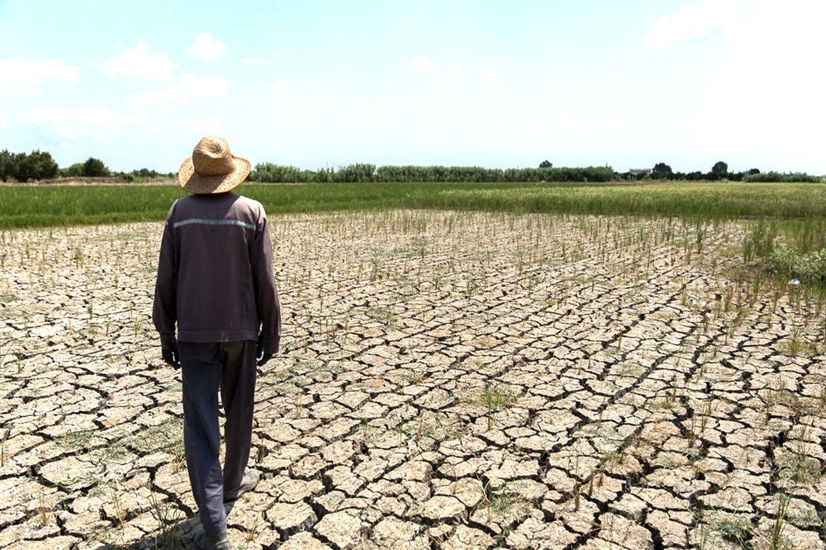 خشکسالی ۱۵ هزار و ۸۰۰ میلیارد ریال  به کشاورزی دزفول خسارت زده است