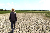 خشکسالی در کشور در ۸۵ سال گذشته بی سابقه بوده است