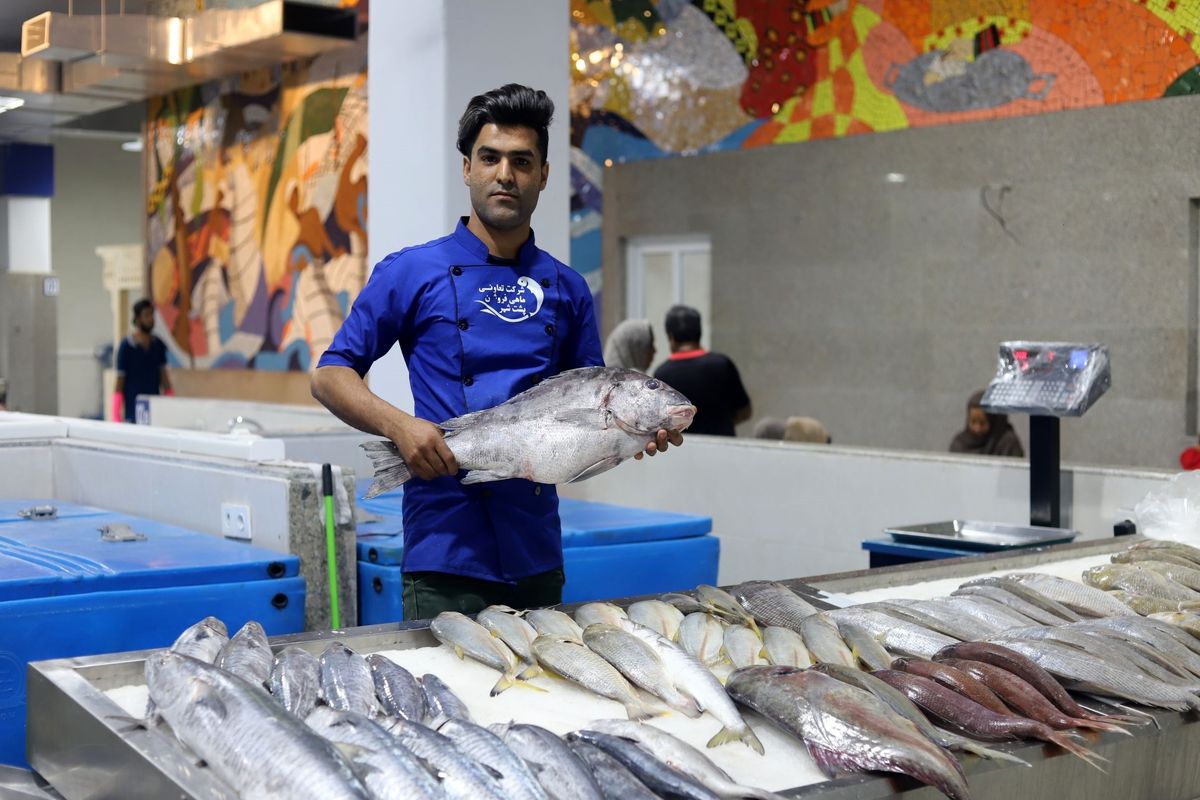 توزیع ماهی در 21 فروشگاه بندرعباس/بازار ماهی تا اطلاع ثانوی تعطیل است