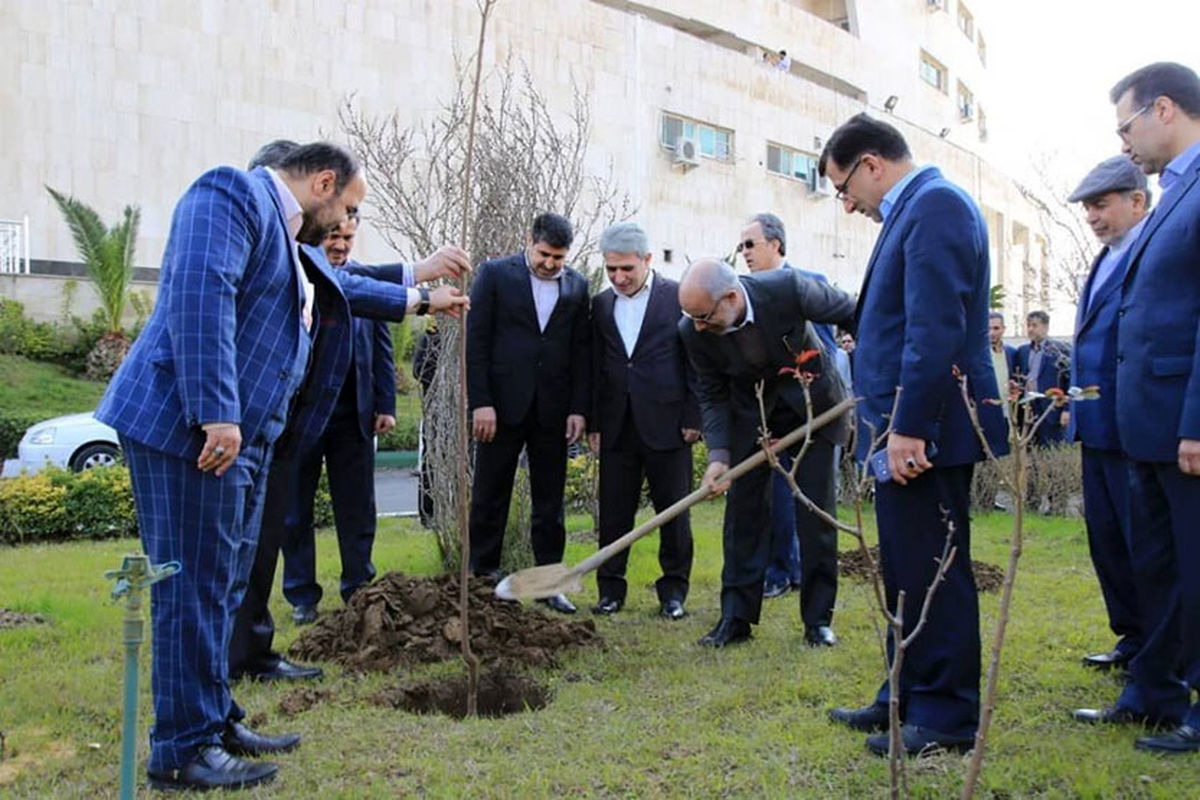 غرس نهال توسط مدیرعامل بانک ملی ایران