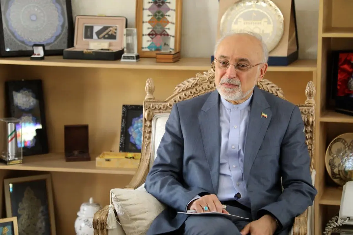 علی اکبر صالحی