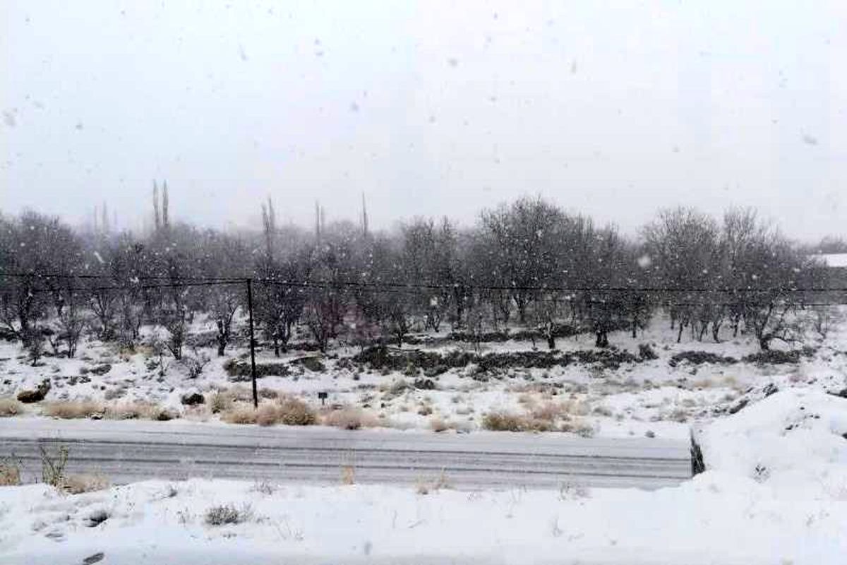 بارش برف و باران در یزد 