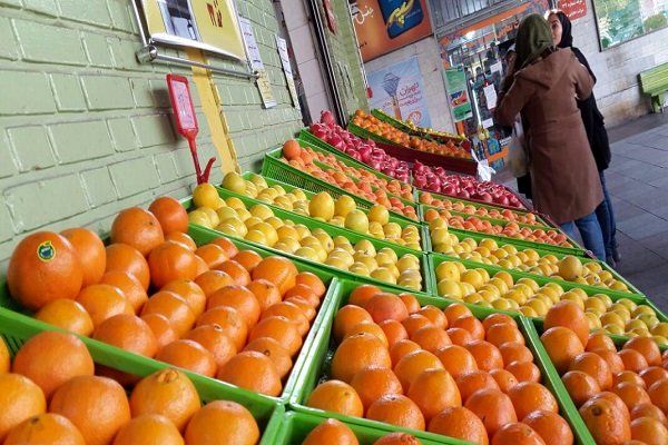 994 تن پرتقال آماده عرضه به بازار شب عید زنجان است