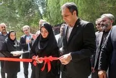 مسیر جدید گردشگری فرهنگی در جزیره آغاز شد + فیلم