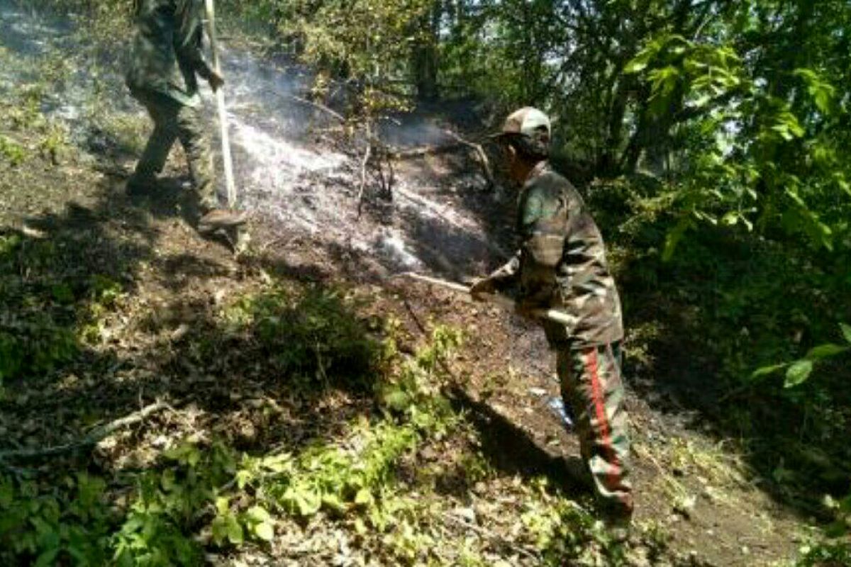 آتش سوزی جنگل نهرودبار کجور مهار شد