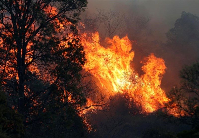 اعزام یک دستگاه خودروی آتش نشانی به جنگل وِیسَر کجور / تلاش نیروهای منابع طبیعی، مردمی و بسیج برای خاموش کردن آتش ادامه دارد