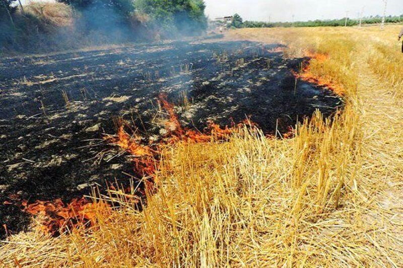 معرفی ۷۰ متخلف آتش زدن کاه و کلش به مراجع قضایی در مازندران