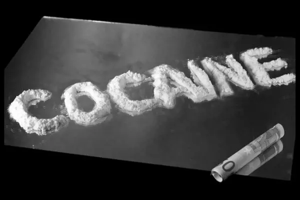 سازمان ملل نسبت به رشد سریع بازار جهانی کوکائین هشدار داد