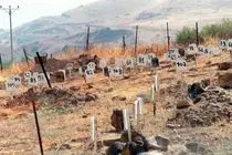 رژیم صهیونیستی از تحویل پیکرهای ۷۳۵ شهید فلسطینی خودداری می‌کند