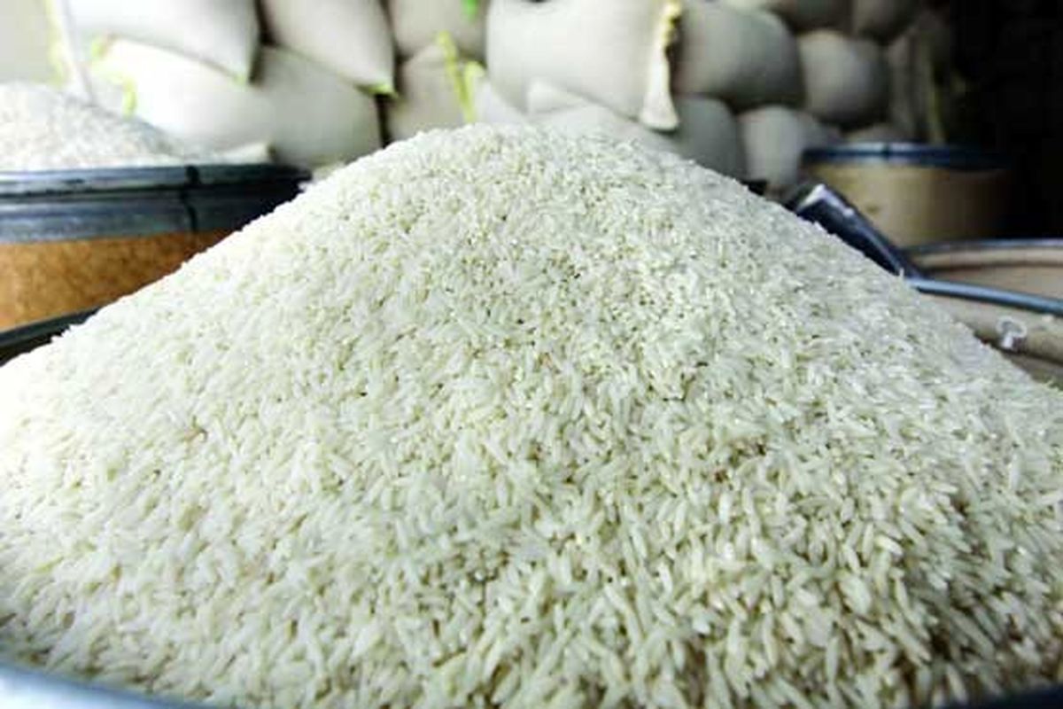 کشت برنج چینی با آب شور