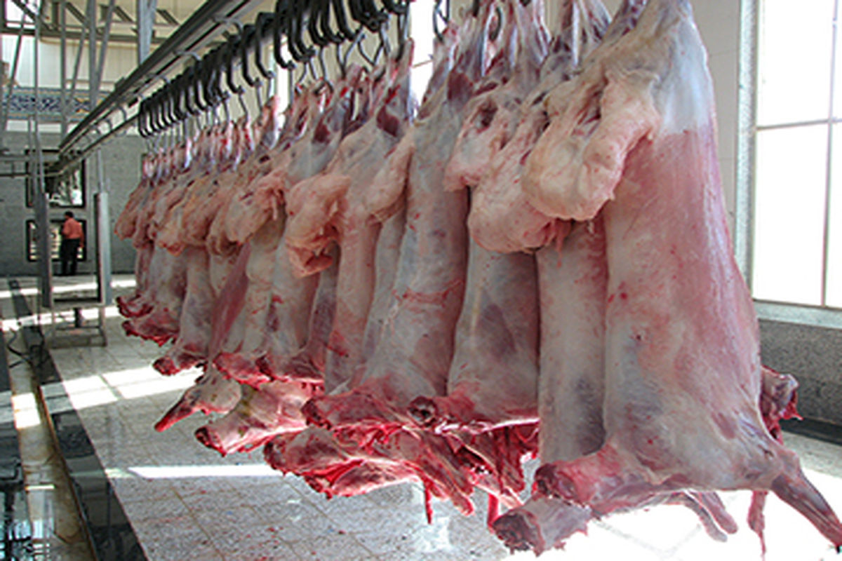 توزیع گسترده گوشت قرمز منجمد به نرخ دولتی آغاز شد