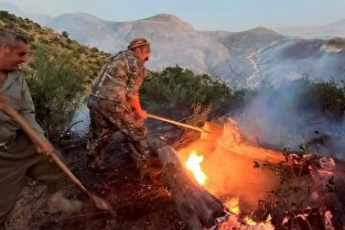 بی‌احتیاطی مسافران عامل حادثه  آتش‌سوزی در پارک ملی گلستان بوده است