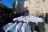  ۴۸ فلسطینی در ۲۴ ساعت گذشته به شهادت رسیدند