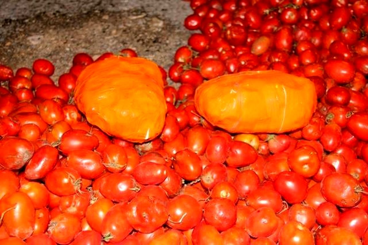 کشف بیش از 70 کیلوگرم تریاک زیر بار گوجه فرنگی / دستگیری یک نفر توسط نیروی انتظامی 