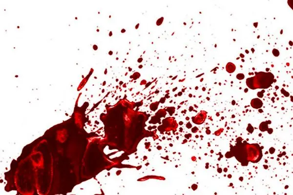 قتل یک مرد ۳۰ ساله توسط دو برادر در ایلام