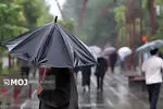 بارش باران و کاهش دما در گیلان، مازندران و گلستان ادامه دارد