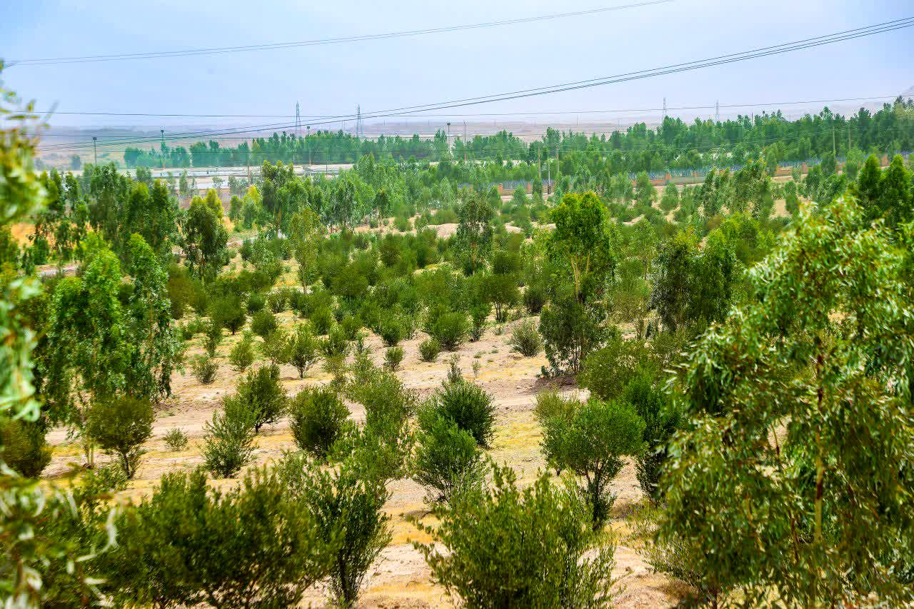 پیشرفت ۵۰ درصدی بوستان رضوان منطقه یک قم