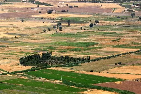 صدور مجوز فعالیت‌های کشاورزی آسان‌تر می‌شود