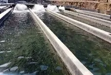 اهواز میزبان همایش ملی «اقتصاد دریا محور» است
