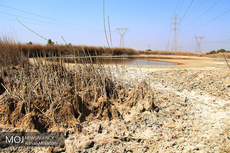 آبیاری نشدن 60 درصد مزارع شادگان به علت خشکسالی