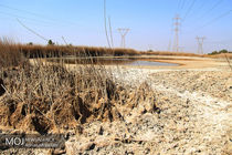 مواجه ۹۷ درصد مساحت خراسان رضوی با پدیده خشکسالی