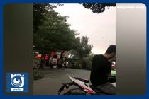 سقوط درختان و آسیب تعدادی از خودروها در پی طوفان در تهران + فیلم
